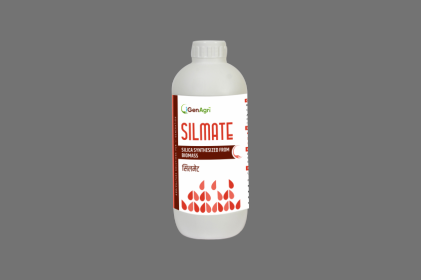 Silmate