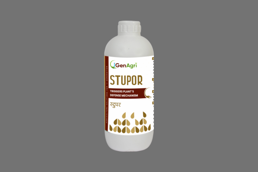 Stupor